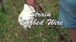Wire Strainers - 60 Second Wire Strainer