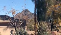 Phoenix Arizona Home For Sale, AZ Real Estate Video Tour