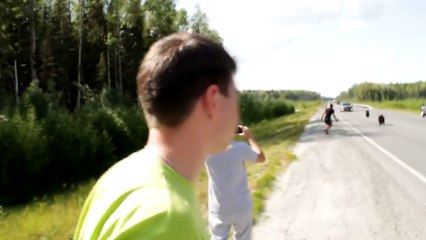 Ездили с концертами, встретили медведей. Троян