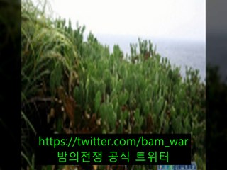 강남립카페 스카이〈 밤전 〉「공항동립카페 こ 익산립카페」