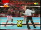 Julio Cesar Chavez vs. Meldrick Taylor 1990 (Italian Commentary - Rino Tommasi).avi