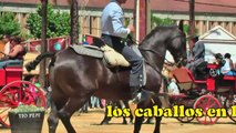 La Feria de Jerez 2009