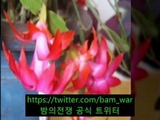 《선릉립카페 잎사귀》 ナ 전포역립카페〚 밤워 〛선두구립카페