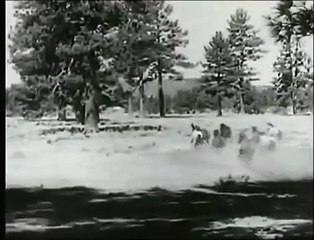 Sigle Tv Furia cavallo del west.