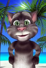 Gatinho falante - bom dia