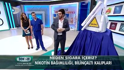 Very Nice Informative Veio