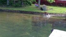 GSP - German Shorthaired Pointer Swimming and Retrieving 2