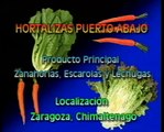 Cultivos de hortalizas
