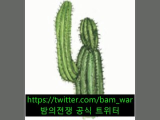 『화곡립카페 피아노』 ス 남산동립카페 〔 밤워 〕 ケ 논현립카페