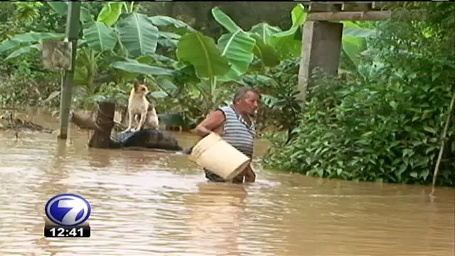 tn7-nuevaonda-090715