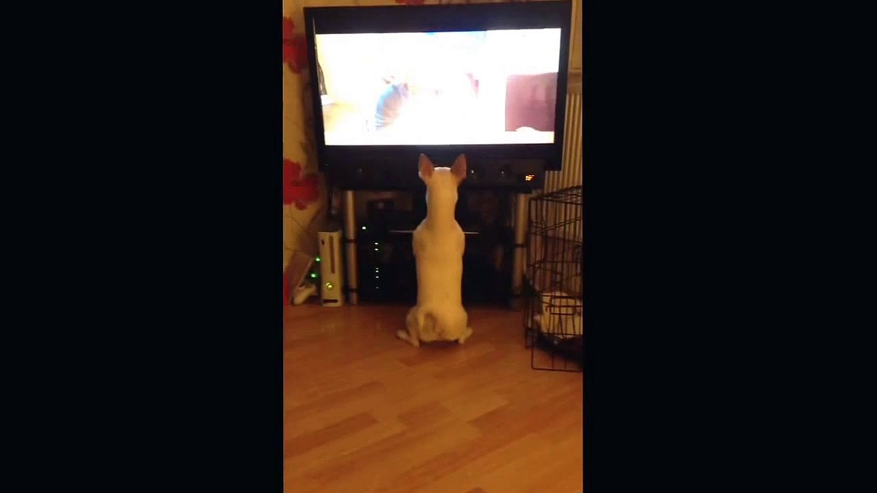 Eve watching jenna marbles, marbles birthday