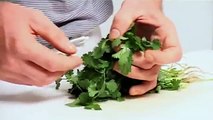 Rezept Koriander richtig putzen und verarbeiten