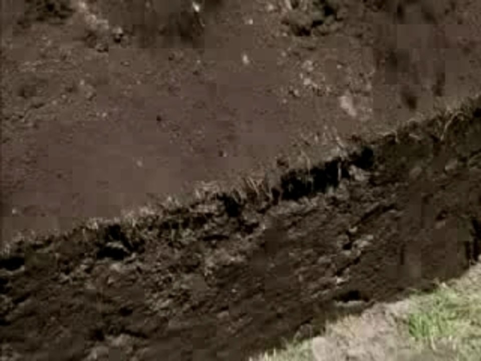 Annette M.Un Angel Llora