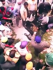 Singhs capture cheetah in Punjab Village