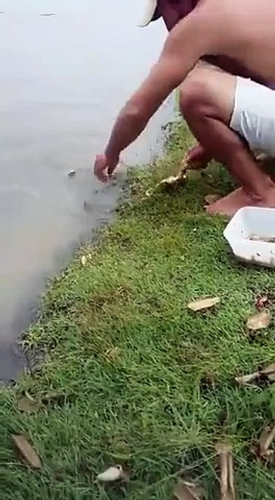 La mejor forma de pescar