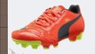 PUMA Unisex - Child evoPOWER 4 FG Jr Football Shoes Red Rot (fluro peach-ombre blue-fluro yellow