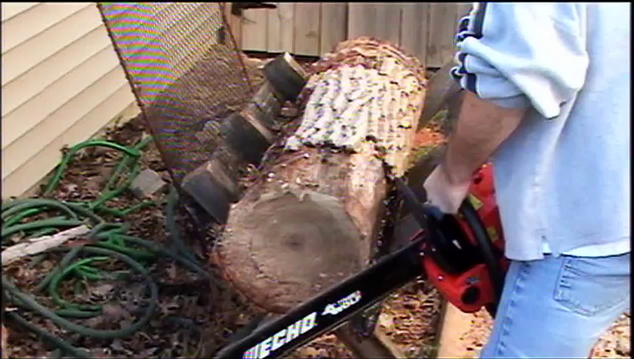 Echo CS-590 vs Stihl MS-361