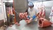 Butcher cuts pig carcasses with a bandsaw! Watch your fingers!