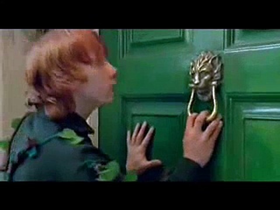 Ron/Hermione and Harry/Ginny Airplanes