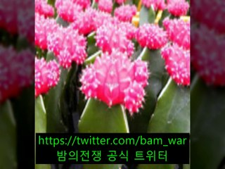 신논현립카페 칸타타〚 밤워 〛『문경립카페 ミ 김천립카페』