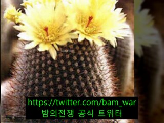 -신논현립카페 샘물 - ぬ 도화립카페▷ 밤전 ◁서울립카페