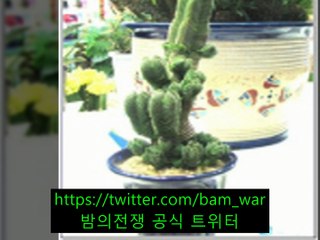 충남립카페▷ 밤워 ◁일산립카페 설레임 ナ  -정읍립카페 -