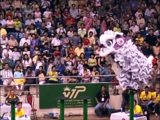 Múa lân - sư - rồng. Dragon Dance - Lion Dance (7)