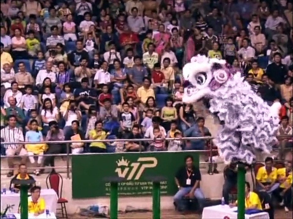 Múa lân - sư - rồng. Dragon Dance - Lion Dance (7)