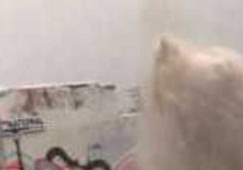 Geyser Blows Outside St. Louis Tattoo Shop