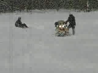 Shit pile to shit pile_01