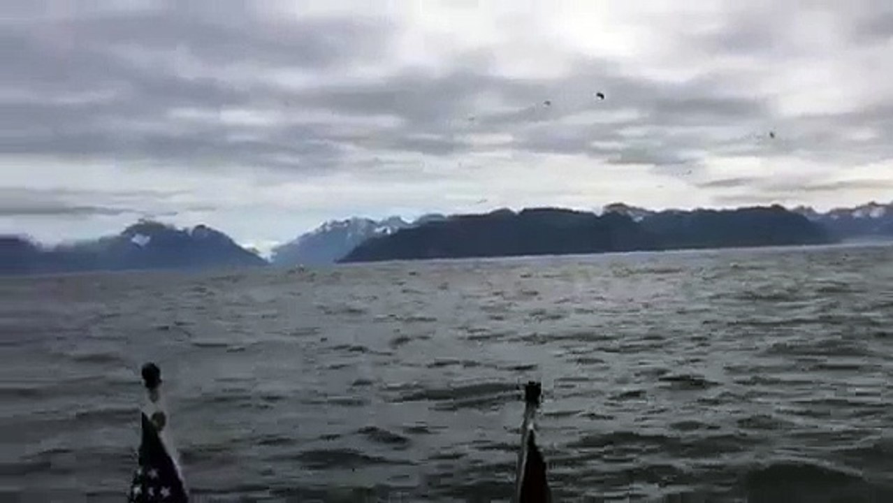Des pêcheurs se retrouve au milieu de dizaines de baleines à bosse en Alaska