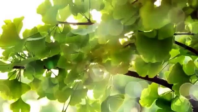 remedio para blanquear los dientes