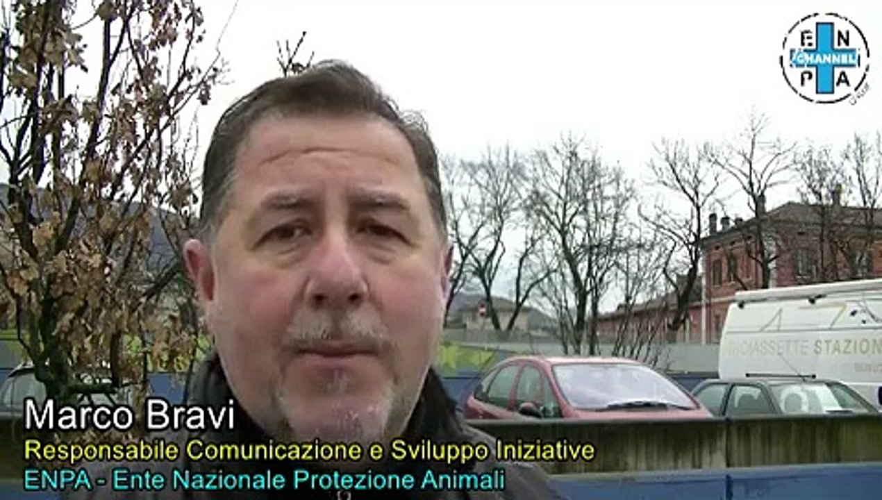 Sentenza GH