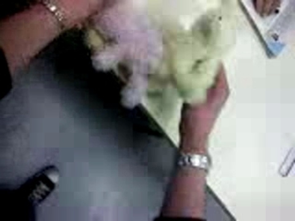 Thérèse, Jean-Michel & Jean-Claude