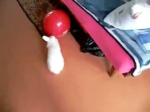 VID-20150709-WA0000.mp4