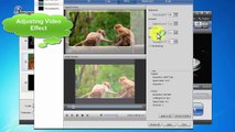 How to convert any video to MP4, AVI, MOV, Webm, MP3, FLAC, AAC and more