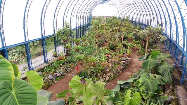 Inside The Americas - A Visit to Quito's Botanical Gardens