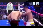 Prince of Knockouts Floyd myweather Boxing Knockouts