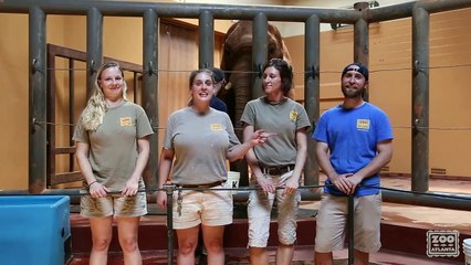 Zoo Atlanta ALS Icebucket Challenge