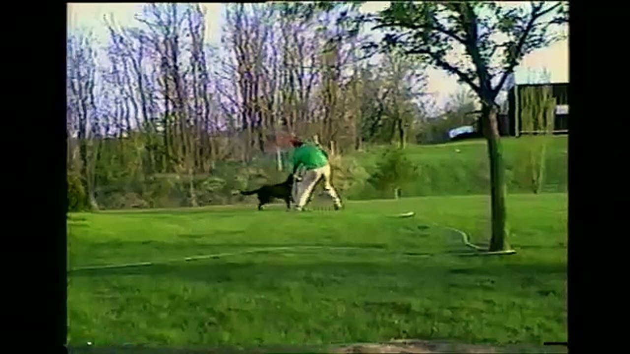 Un chien arrose son maître avec un tuyau d'arrosage