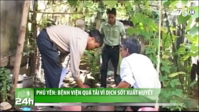 Soffell - Phú Yên bệnh viện quá tải vì dịch sốt xuất huyết