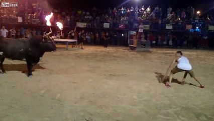 Don't Mess with the Flaming-horns Bull