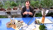 how its made s6 ep1- artifical bonsais