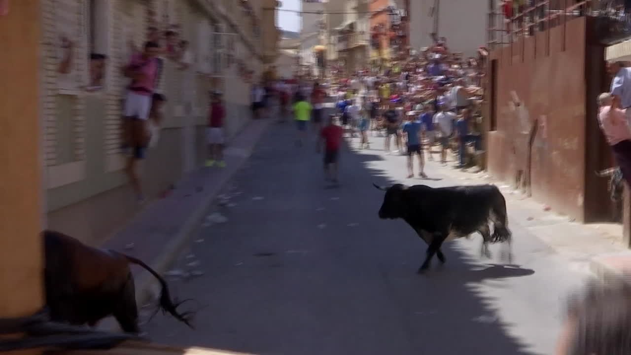 Un mort et un blessé grave dans une course de taureaux en Espagne