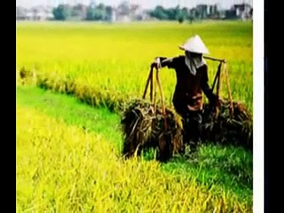 CTV - Việt Nam quê hương tôi.flv