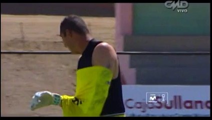 Alianza Atlético: arquero fue atacado por abejas en Piura