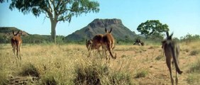 Quigley Down Under Trailer